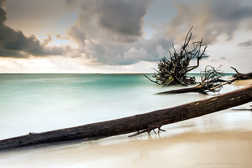 landscape photography