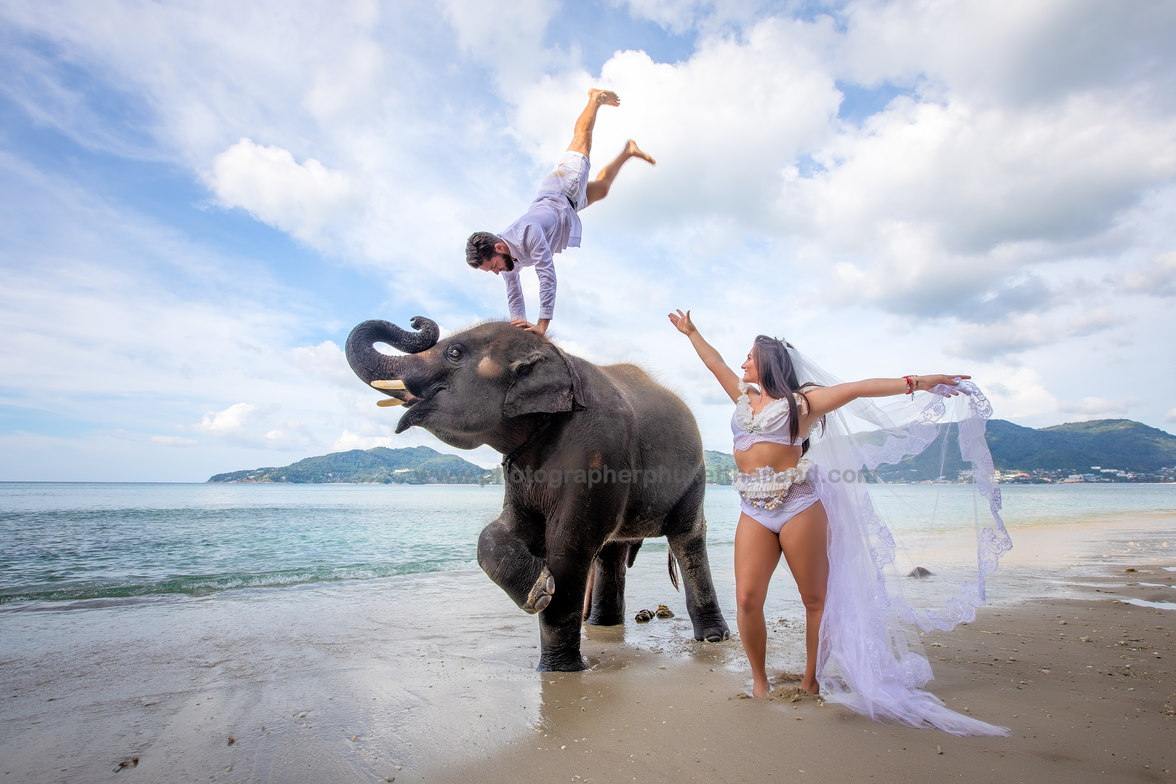 pre wedding photo taking with elephant at Phuket Thailand