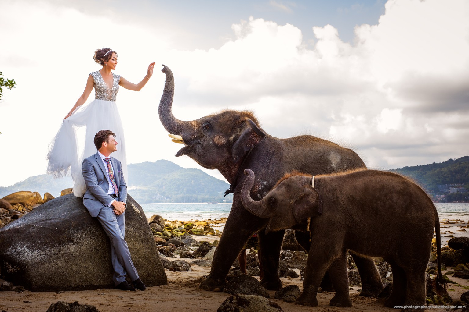 wedding photoshoot with elephants at lucky beach phuket