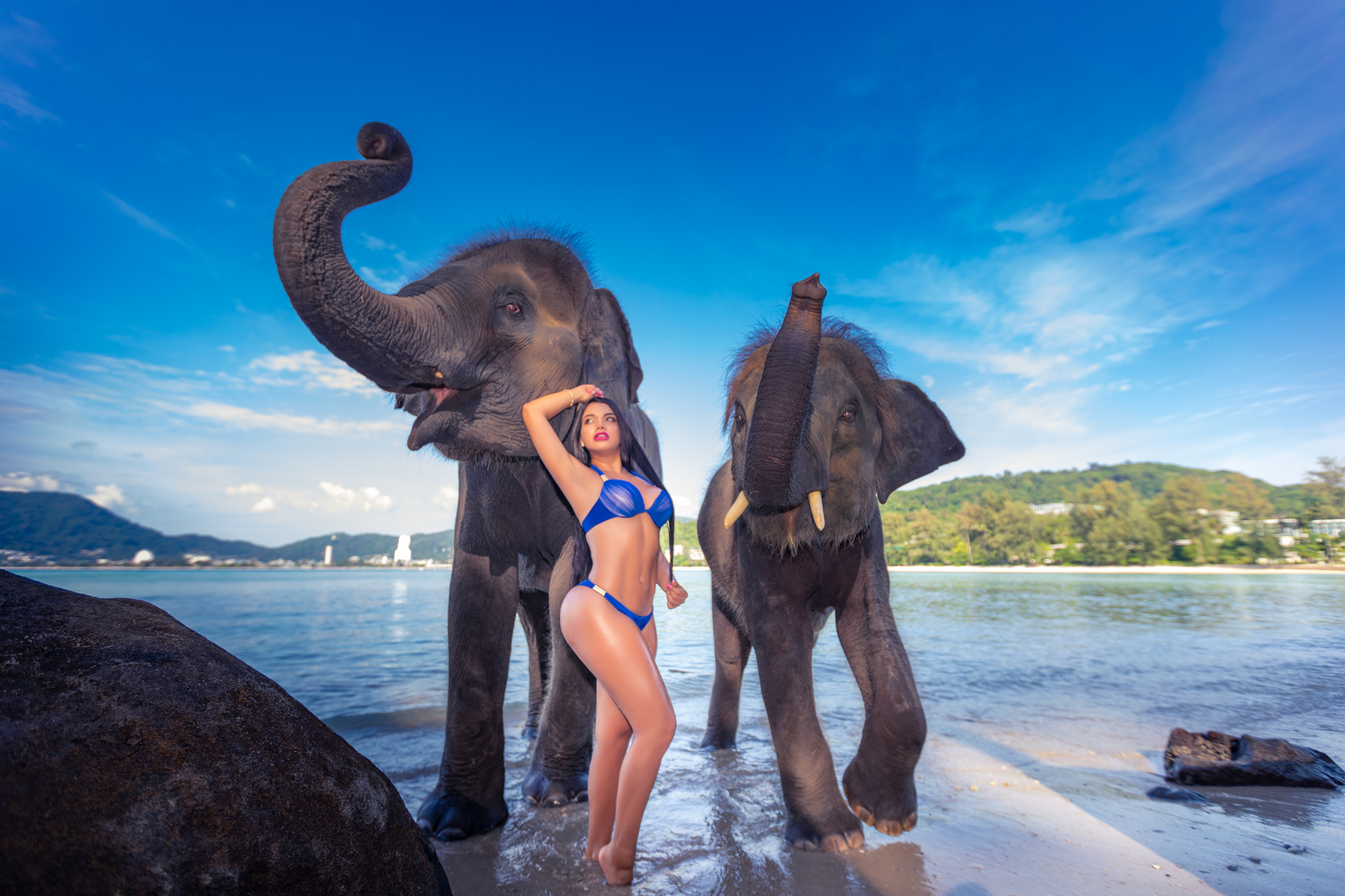 Phuket Portrait photoshoot with elephants