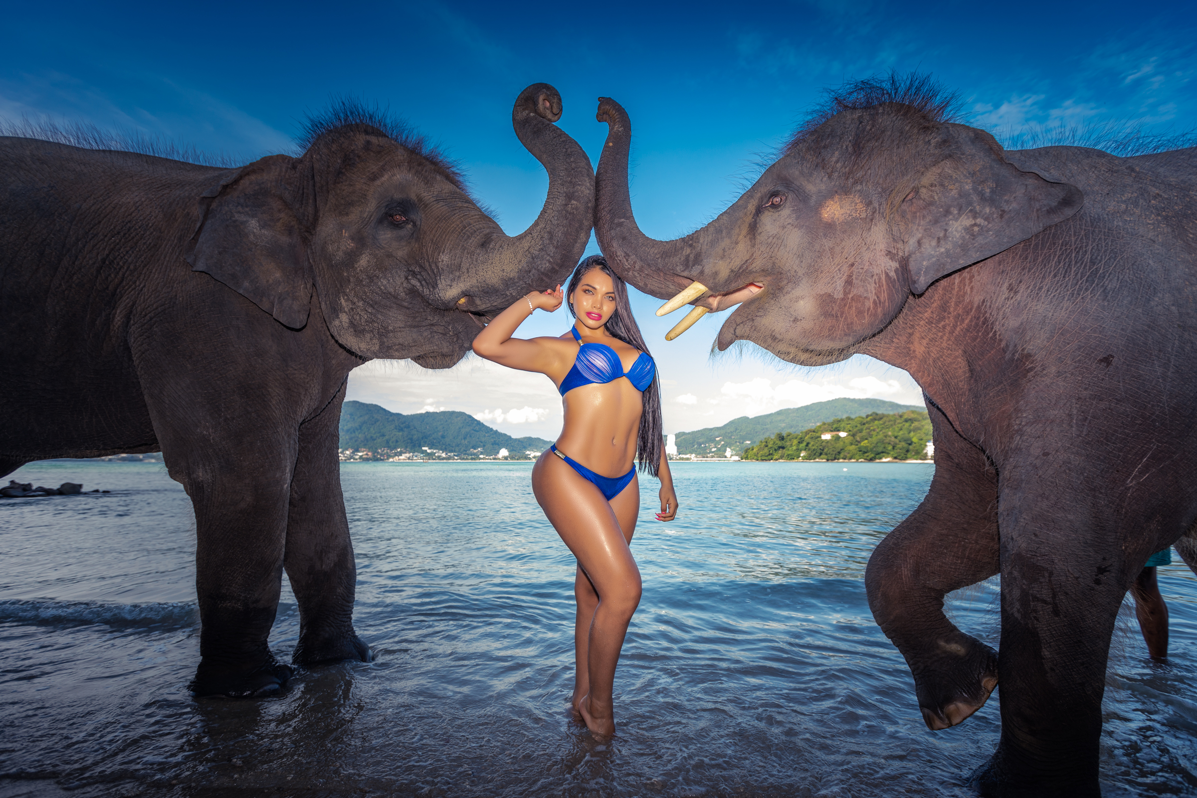 Phuket Portrait photoshoot with elephants