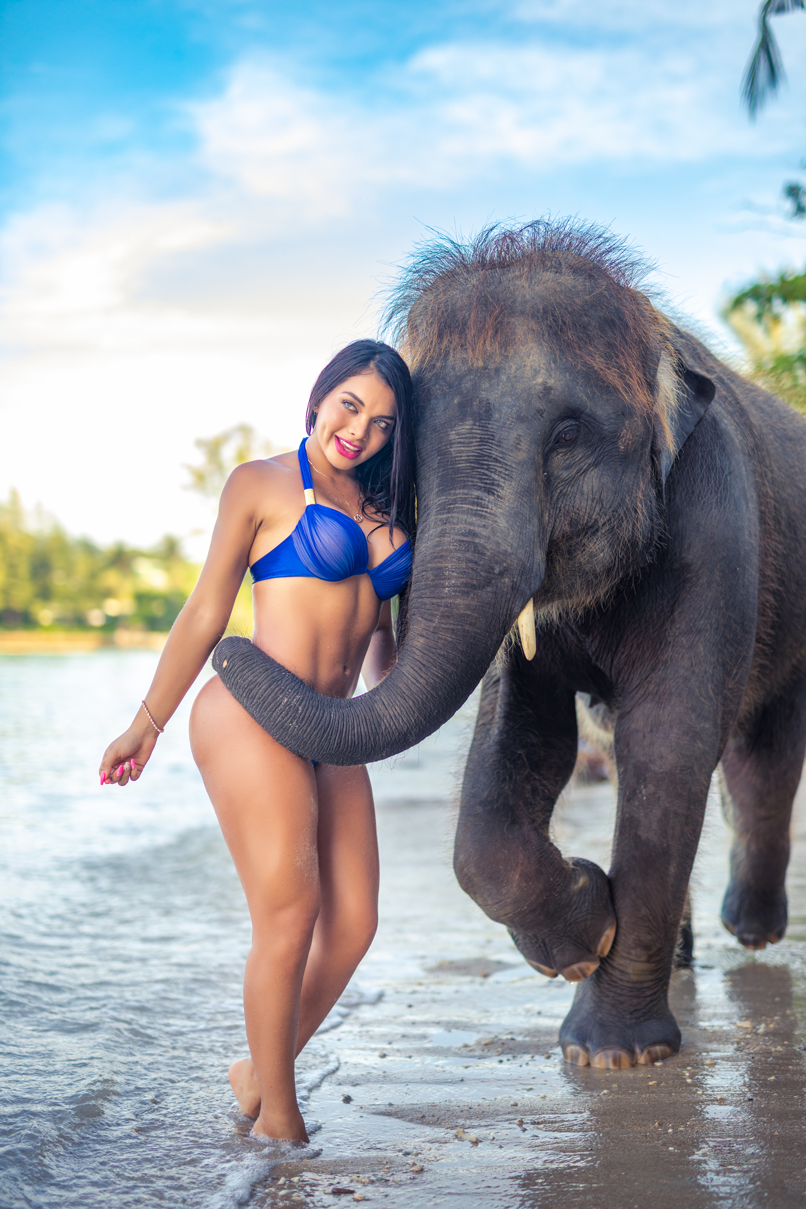 Phuket Portrait photoshoot with elephants