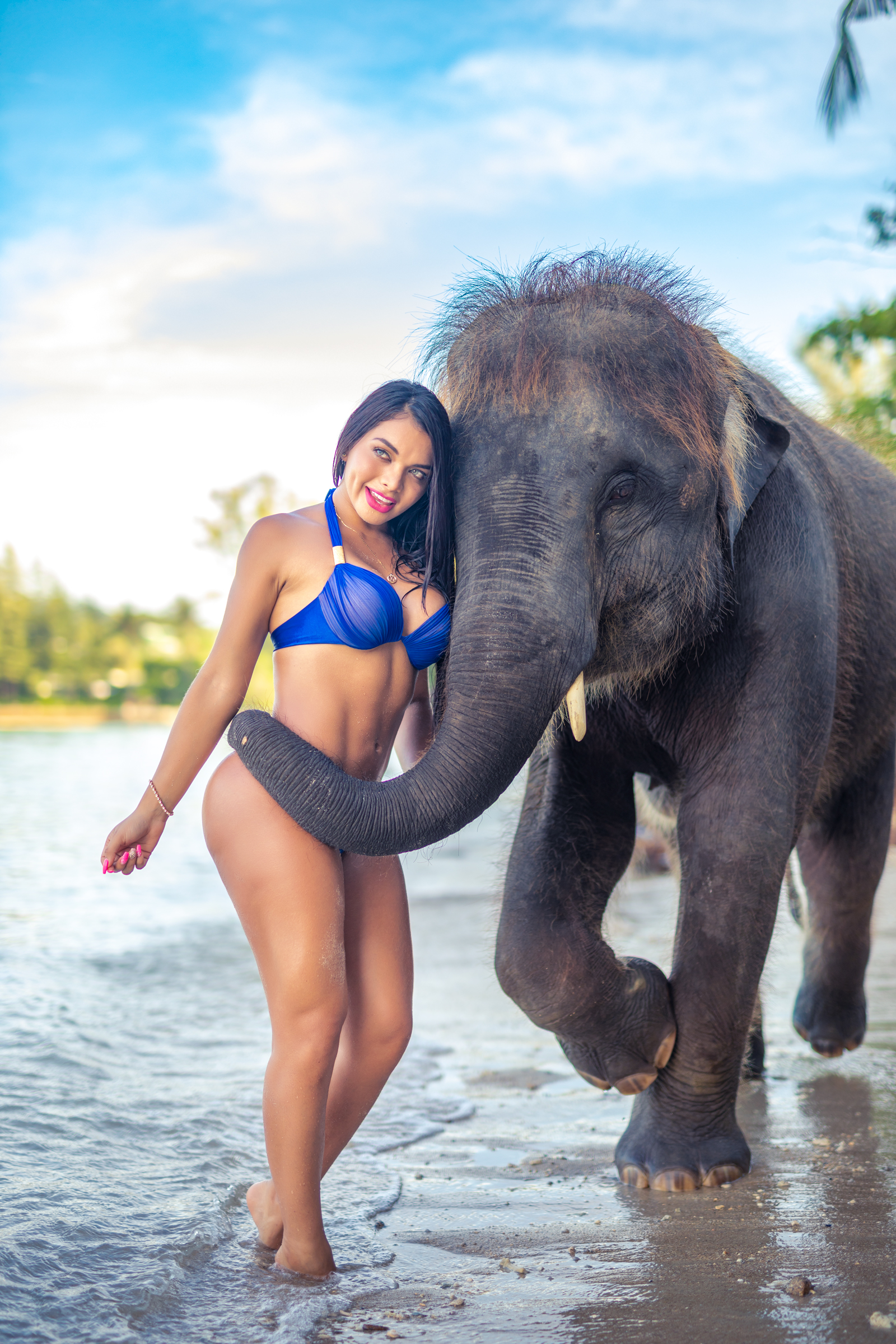 Phuket Portrait photoshoot with elephants