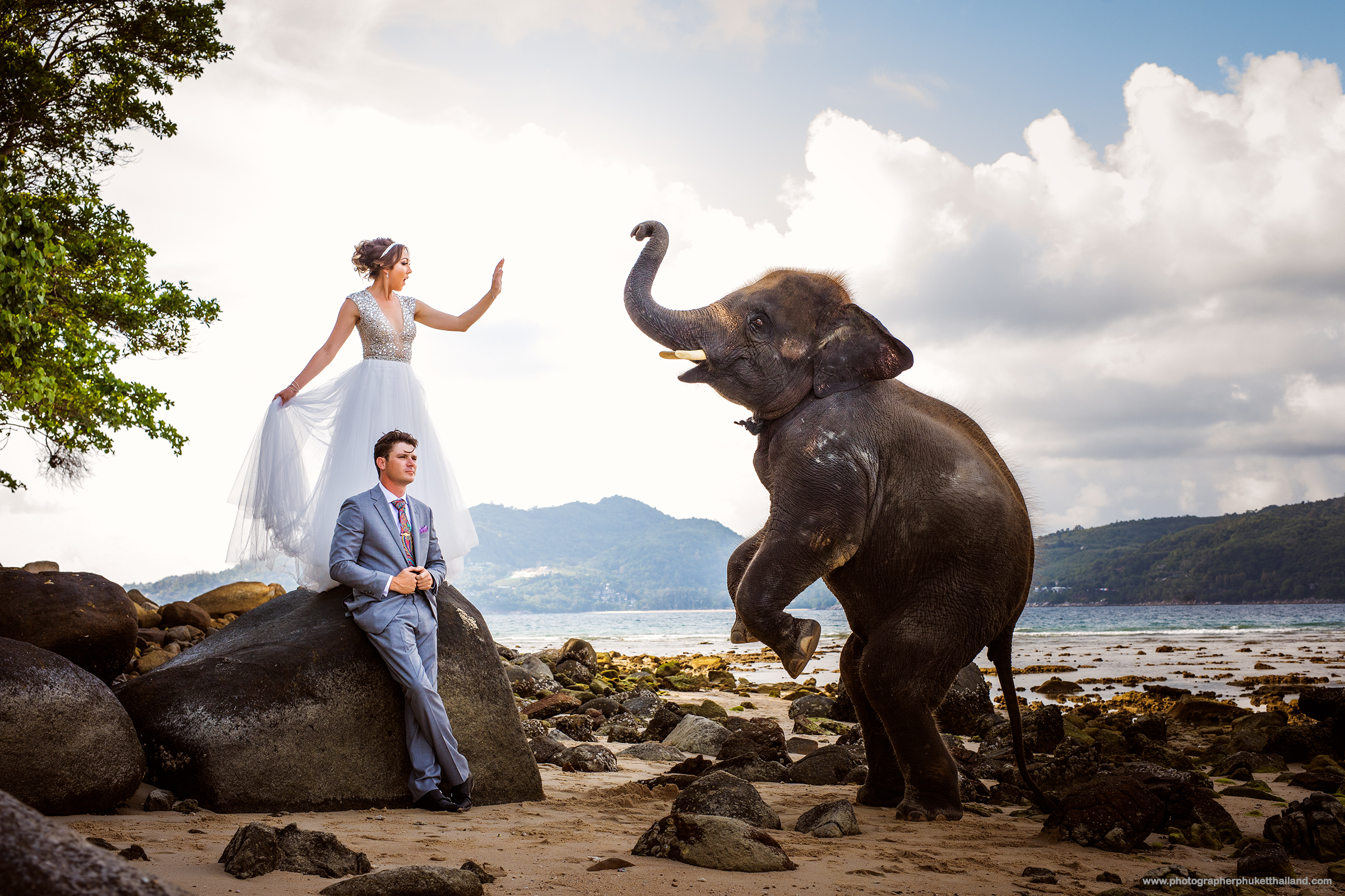 wedding photoshoot with elephants