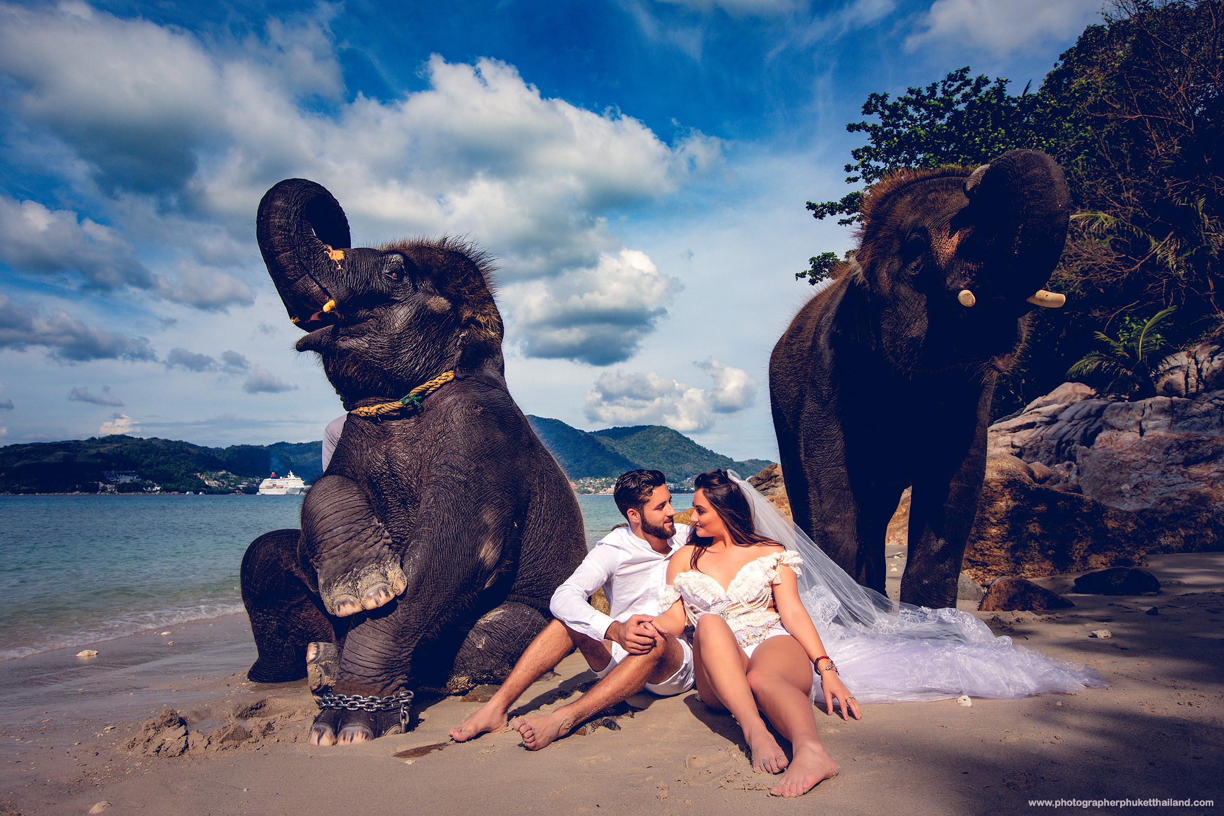 pre wedding photoshoot with elephants