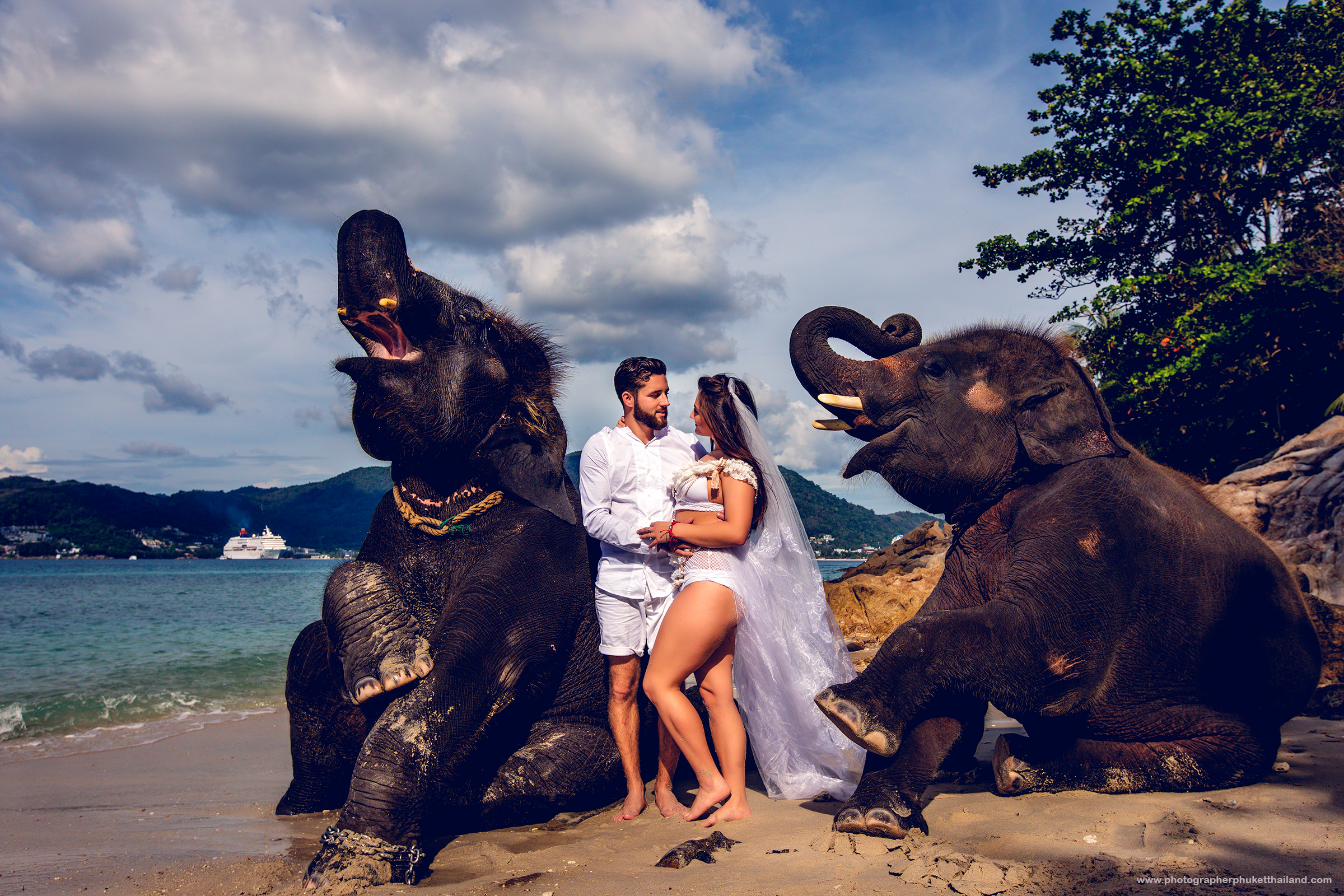 pre wedding photoshoot with elephants