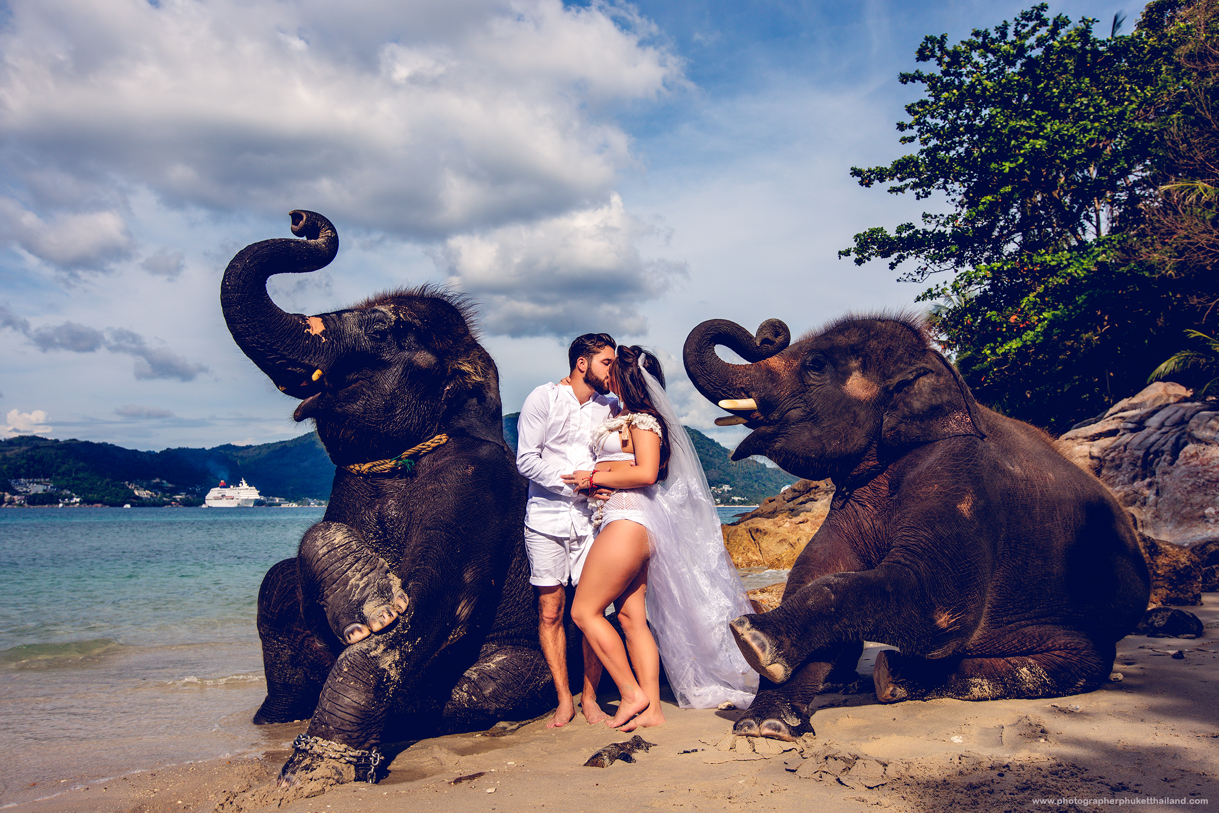 pre wedding photoshoot with elephants
