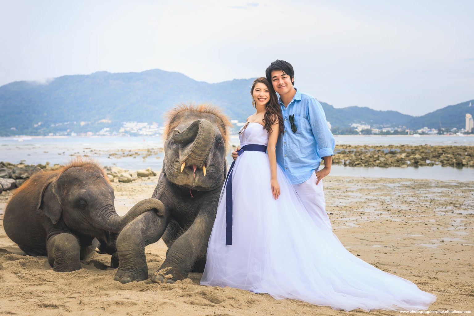 pre wedding photoshoot with elephants