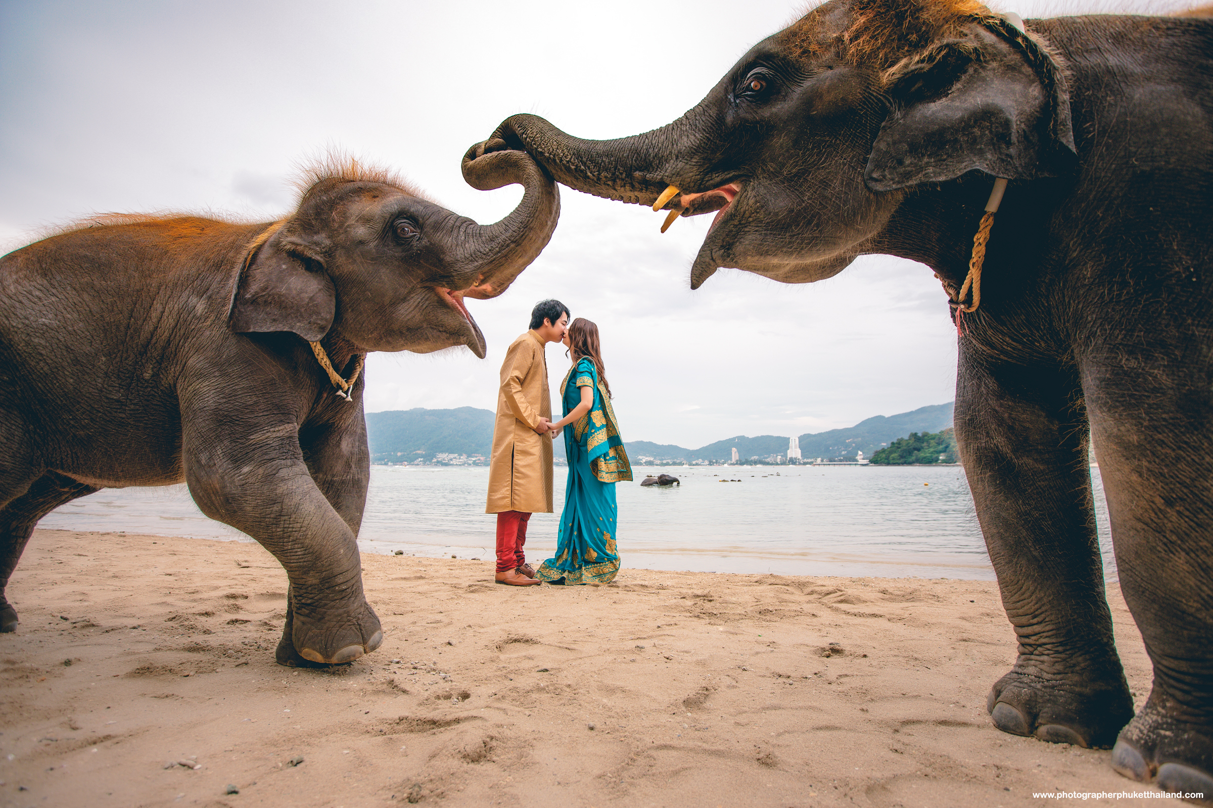 pre wedding photoshoot with elephants at lucky beach phuket
