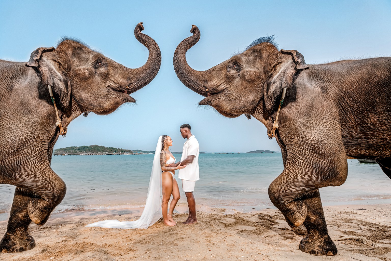 pre wedding photoshoot with elephants on the beach