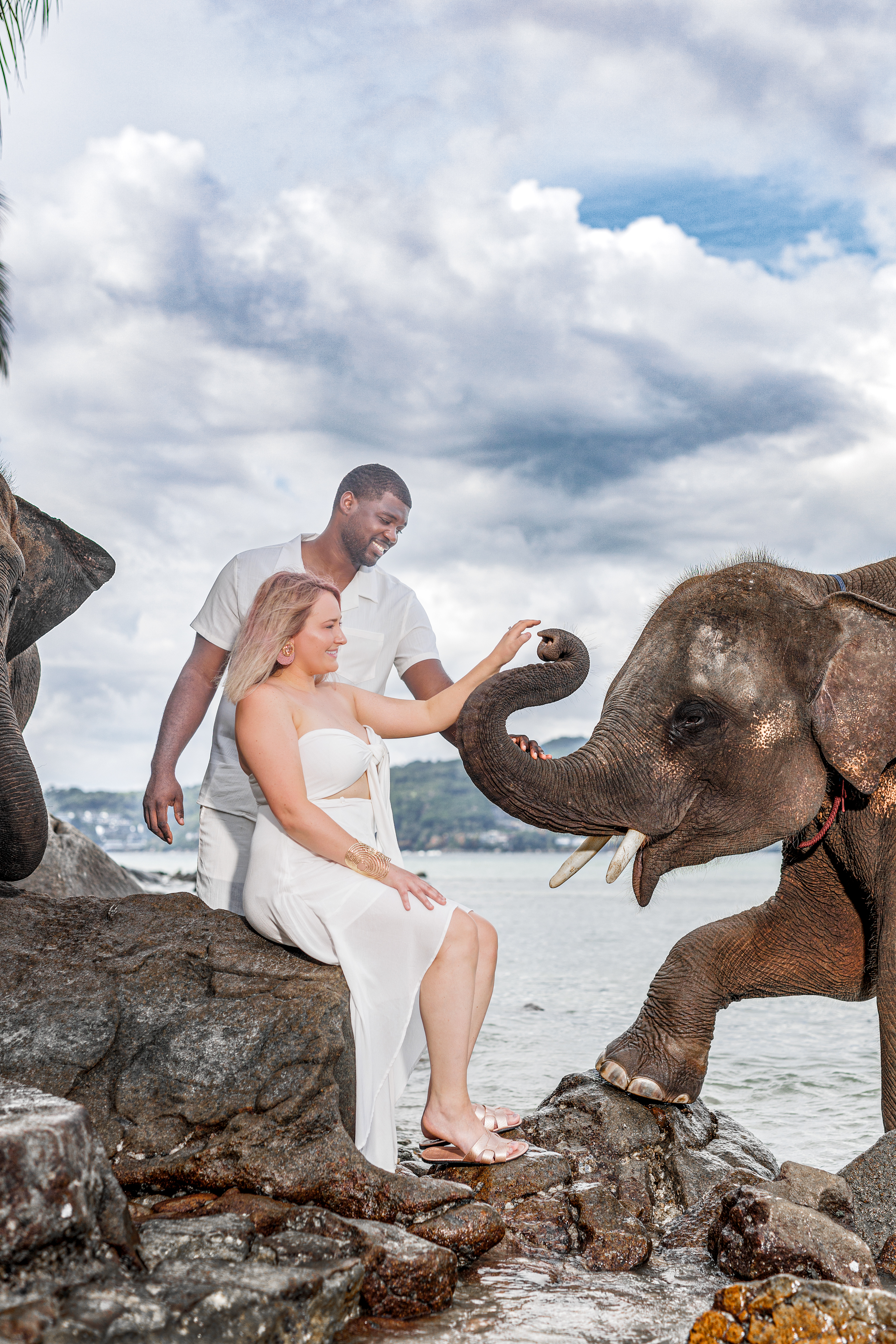 couple photoshoot with elephants