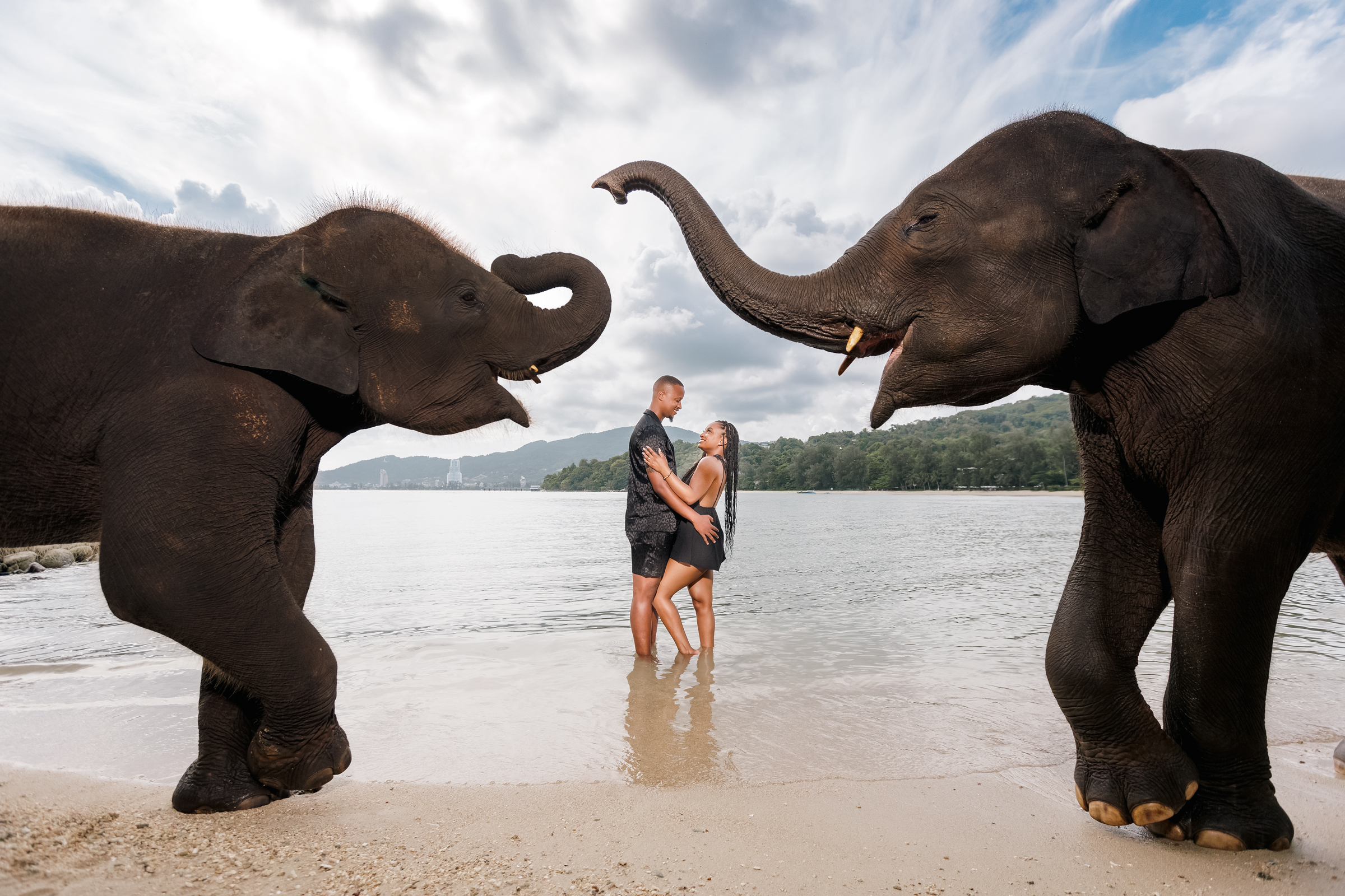 couple photoshoot with elephants