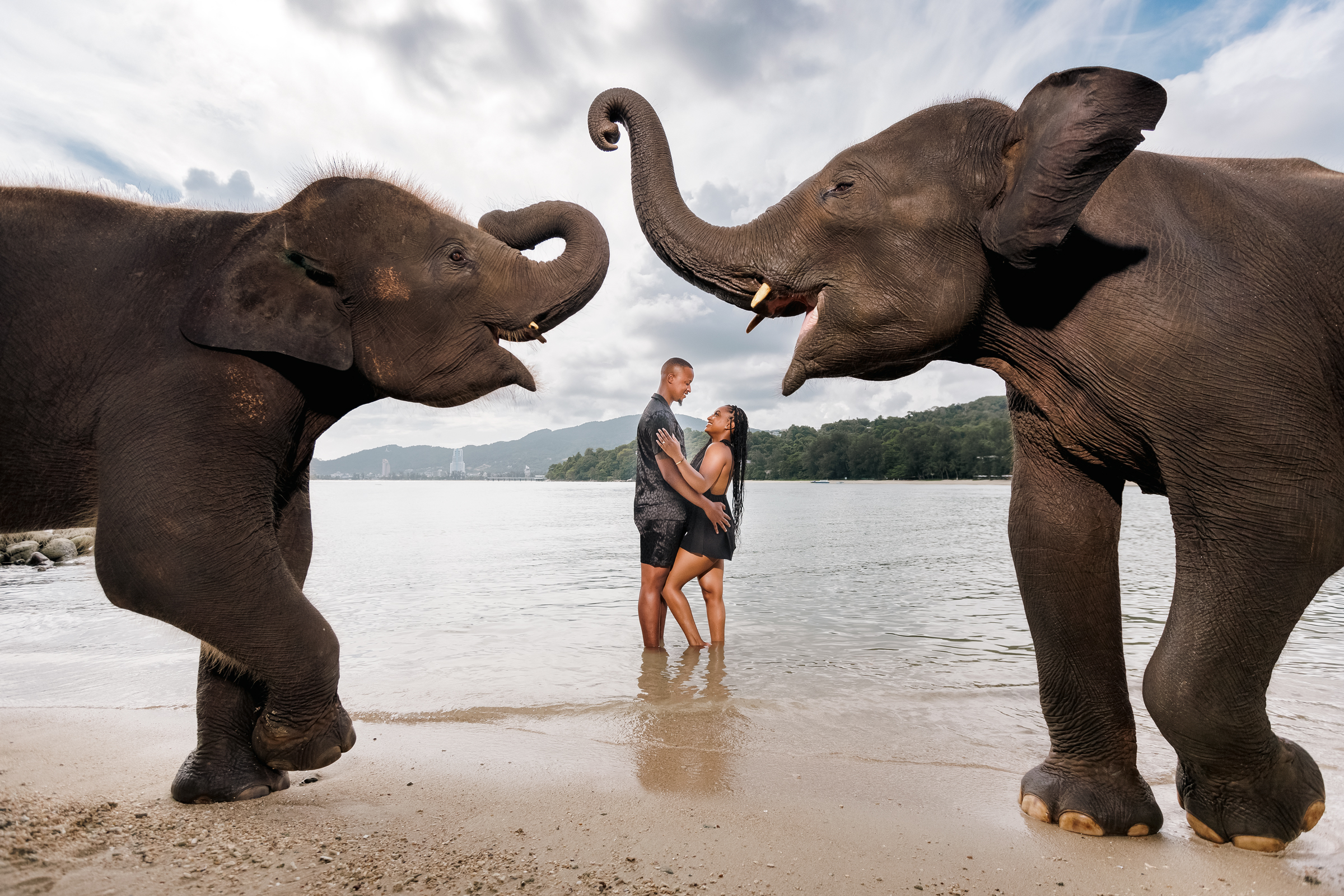 couple photoshoot with elephants