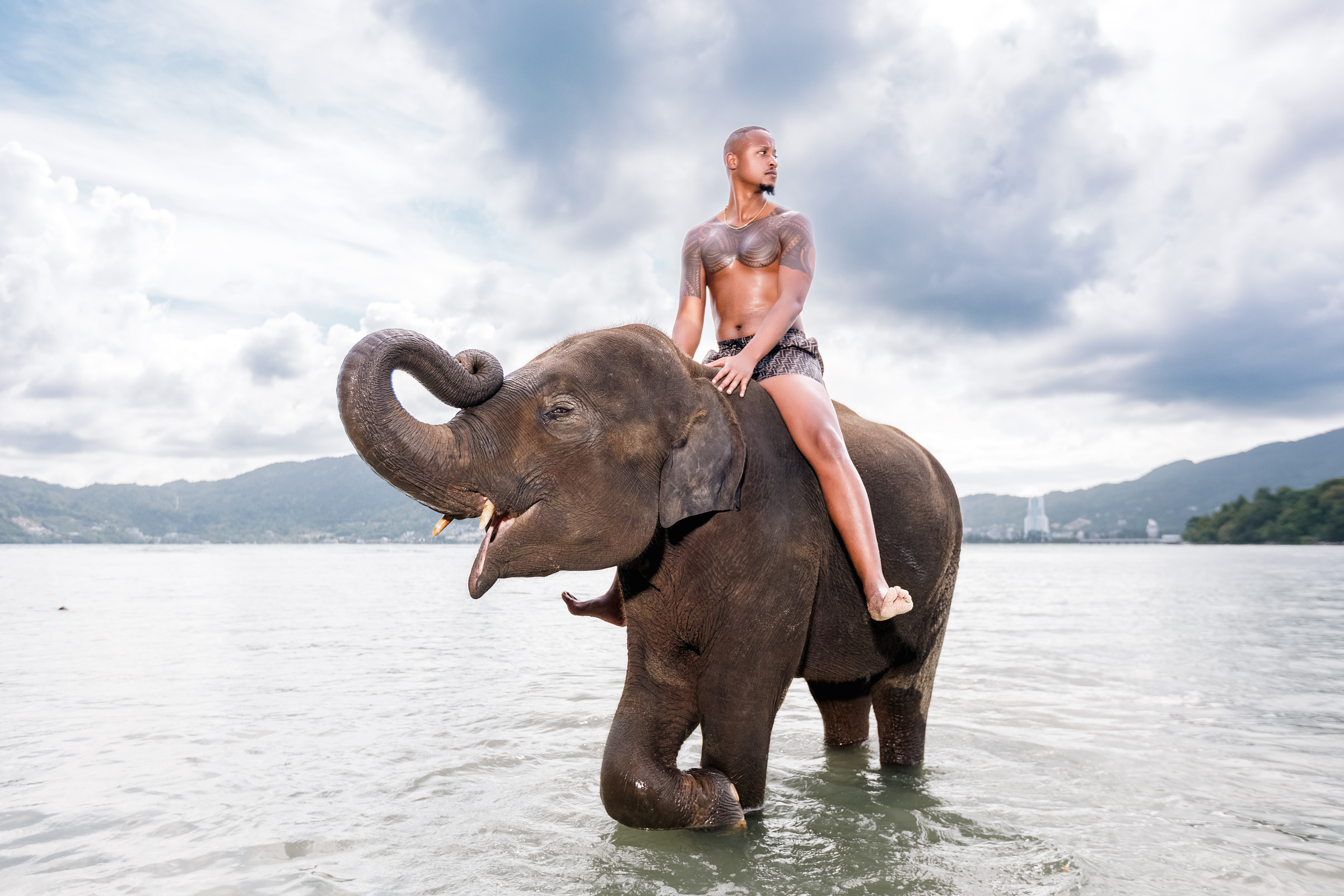 portrait photoshoot with elephants