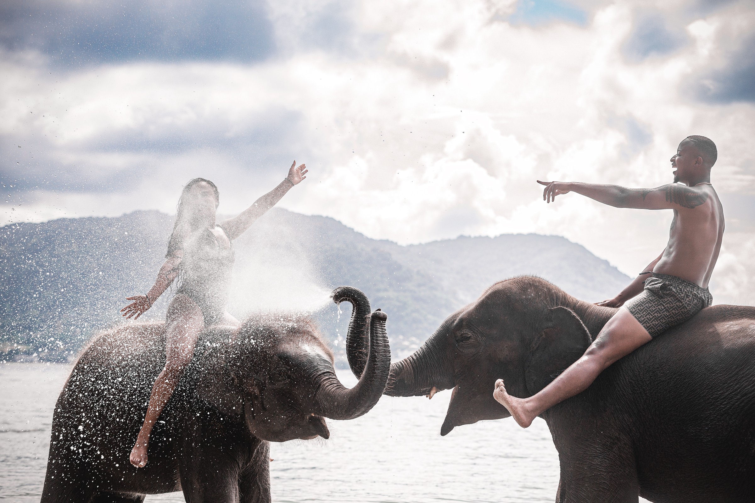 couple photoshoot with elephants