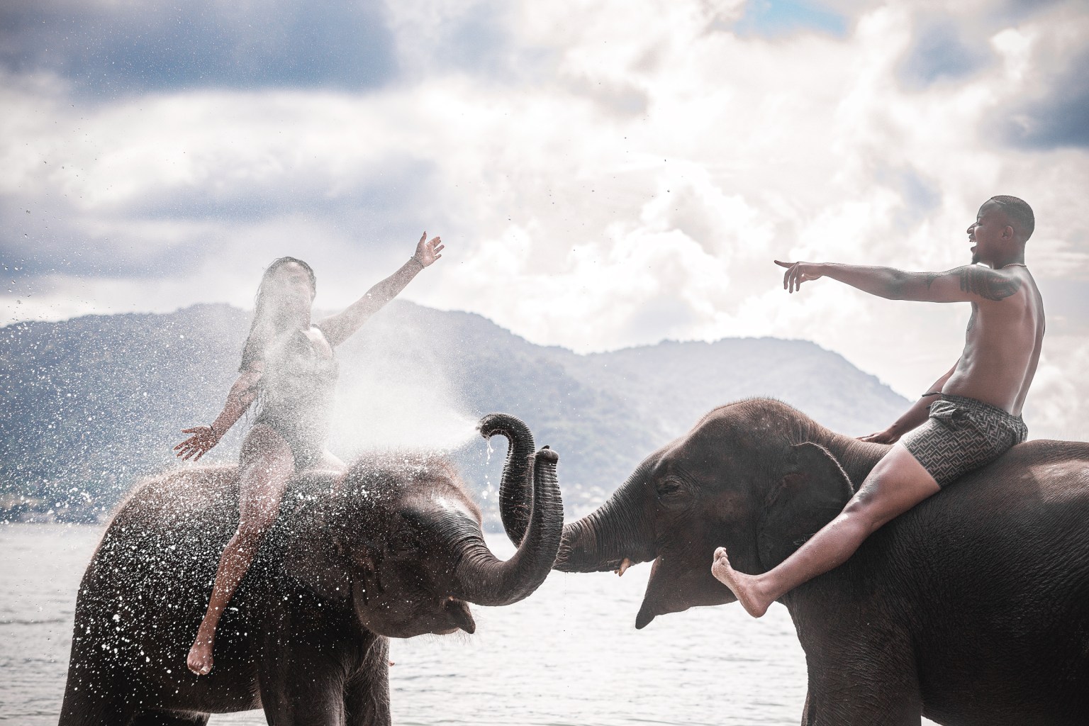 couple photoshoot with elephants