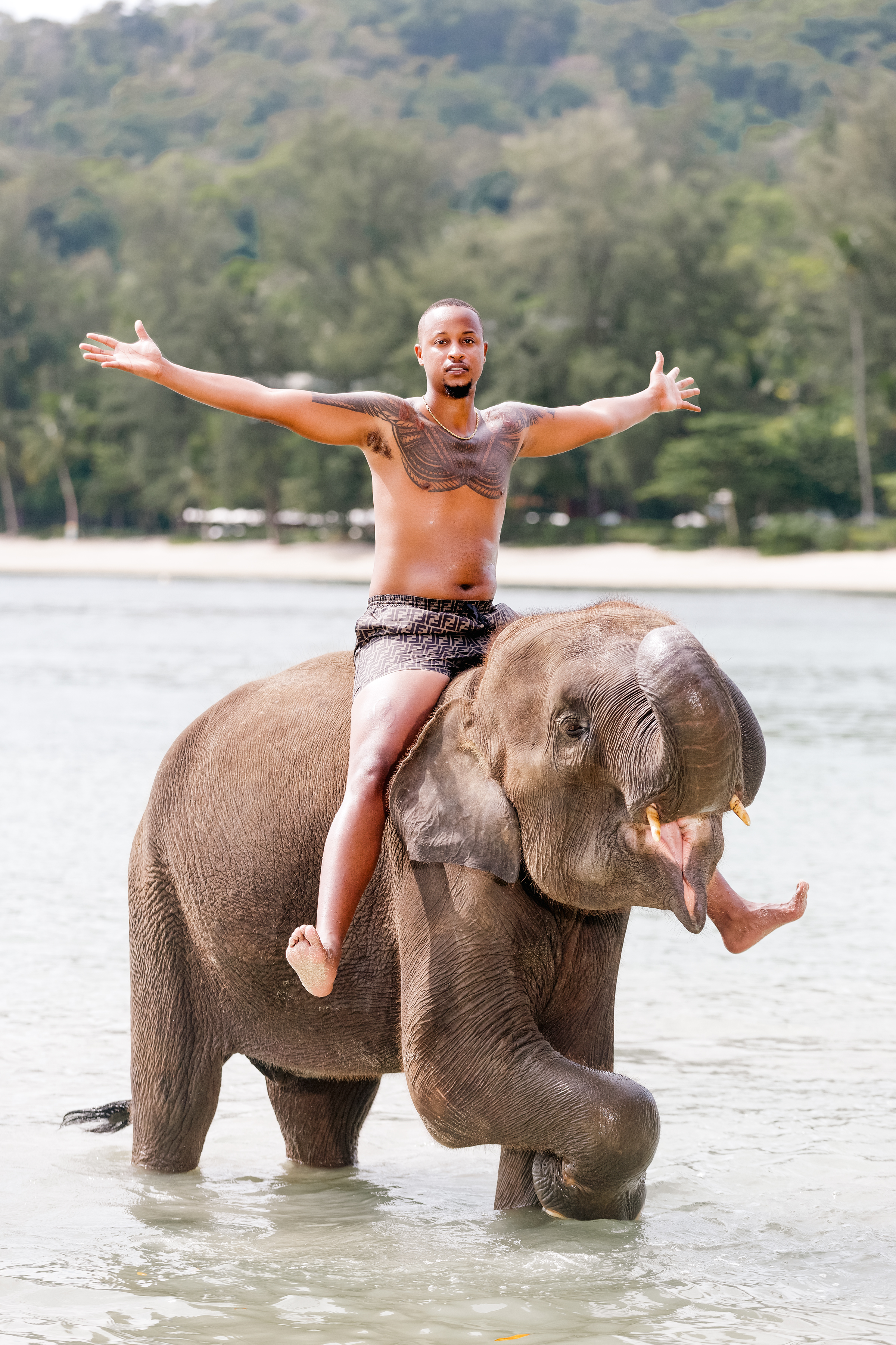 portrait photoshoot with elephants