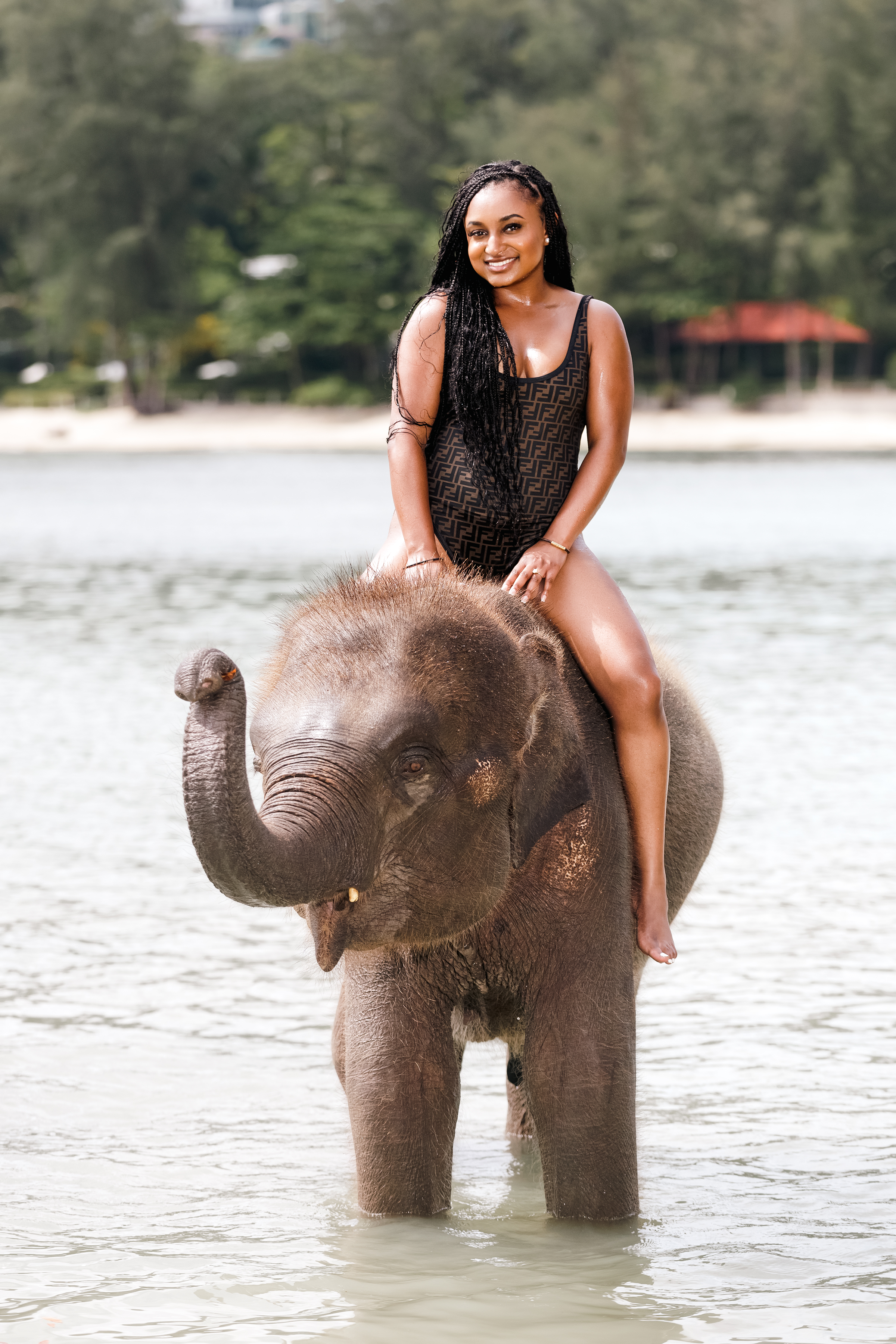 portrait photoshoot with elephants