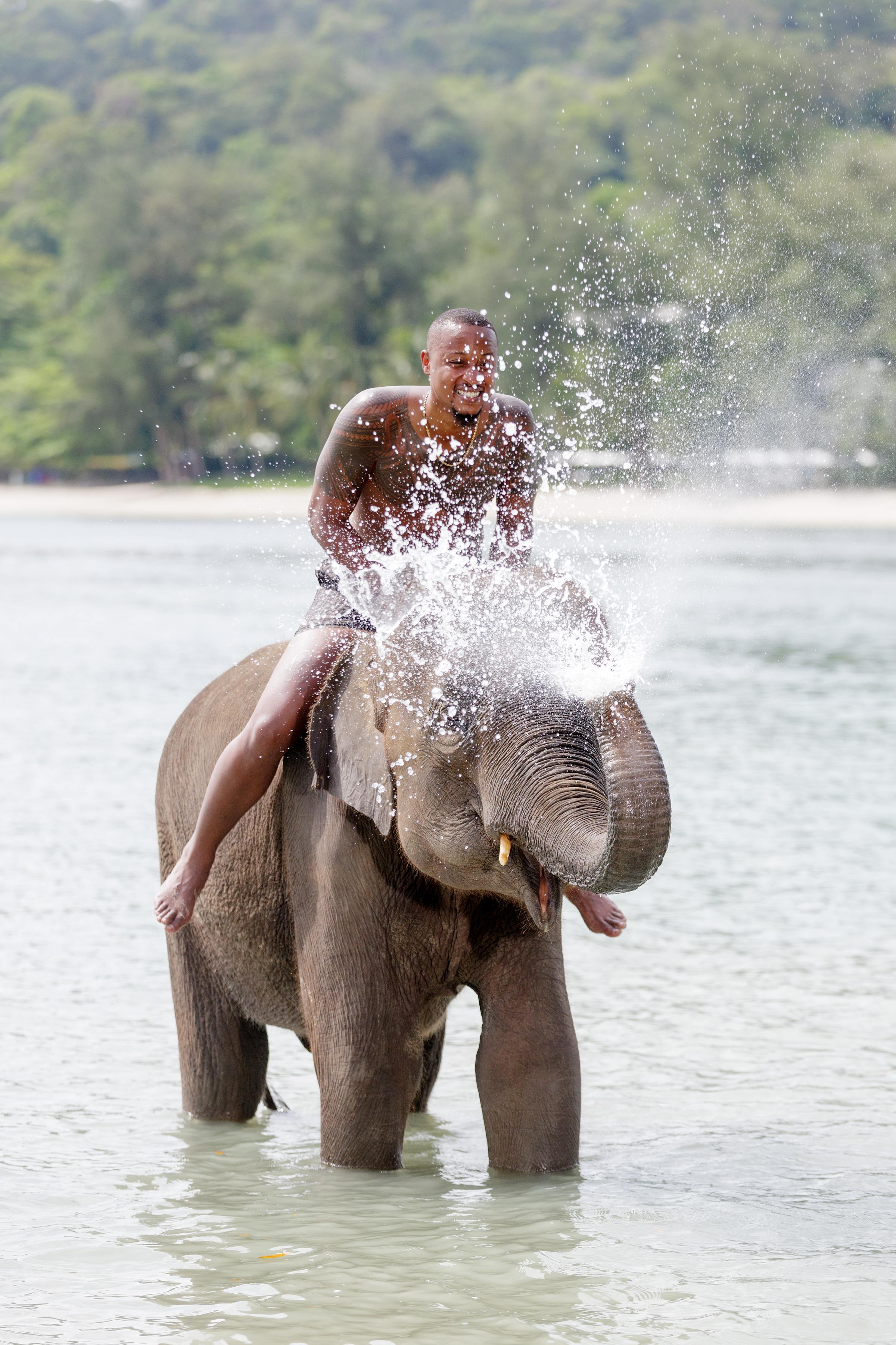 portrait photoshoot with elephants