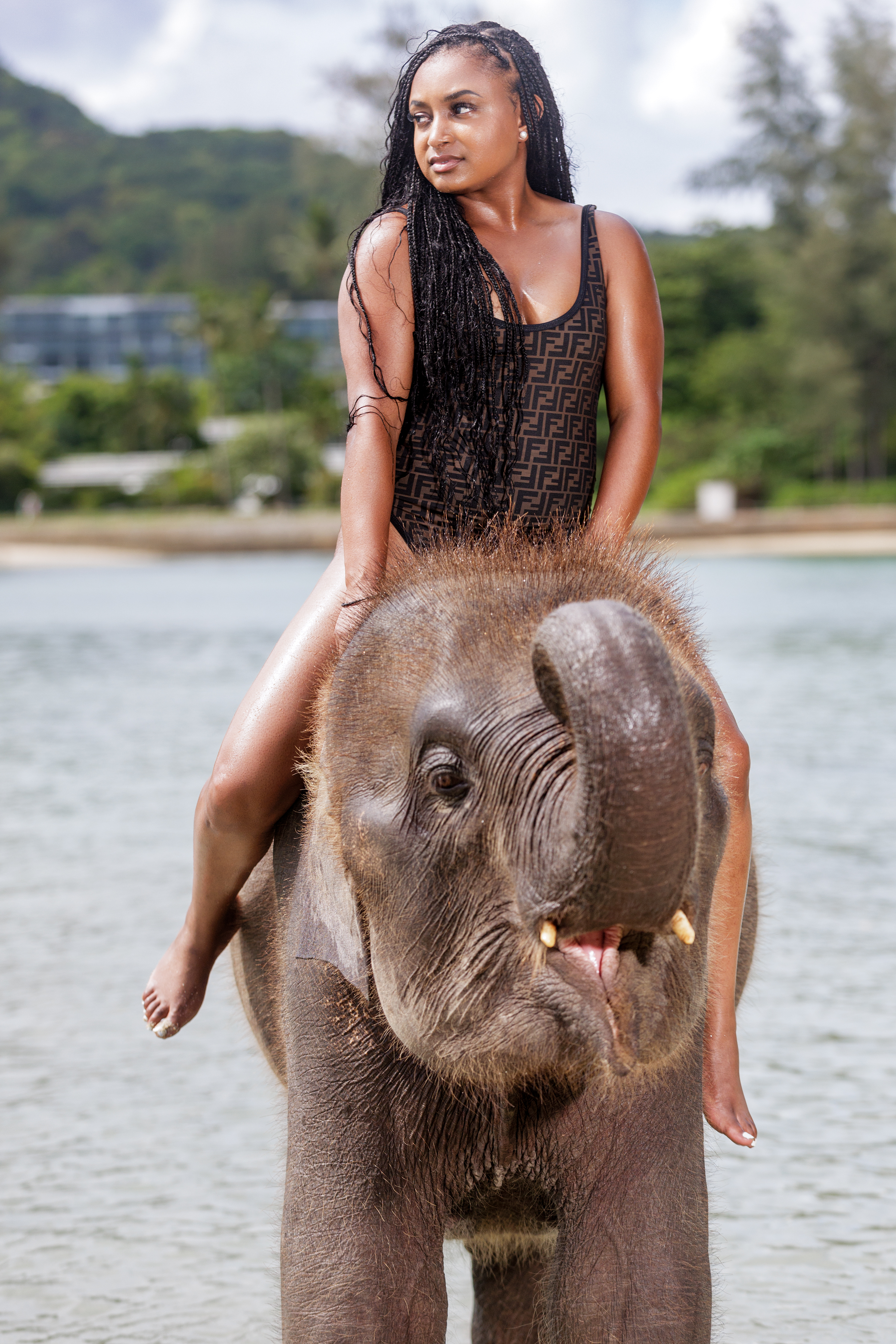 portrait photoshoot with elephants