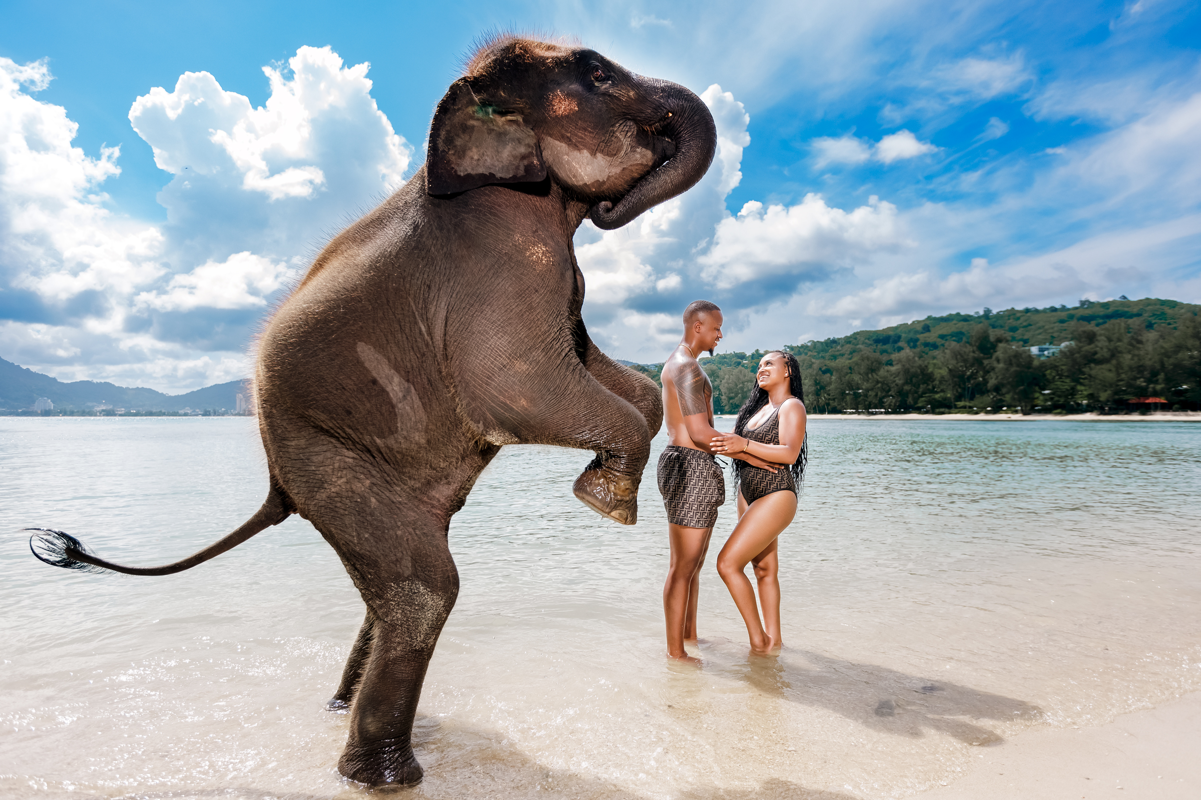couple photoshoot with elephants