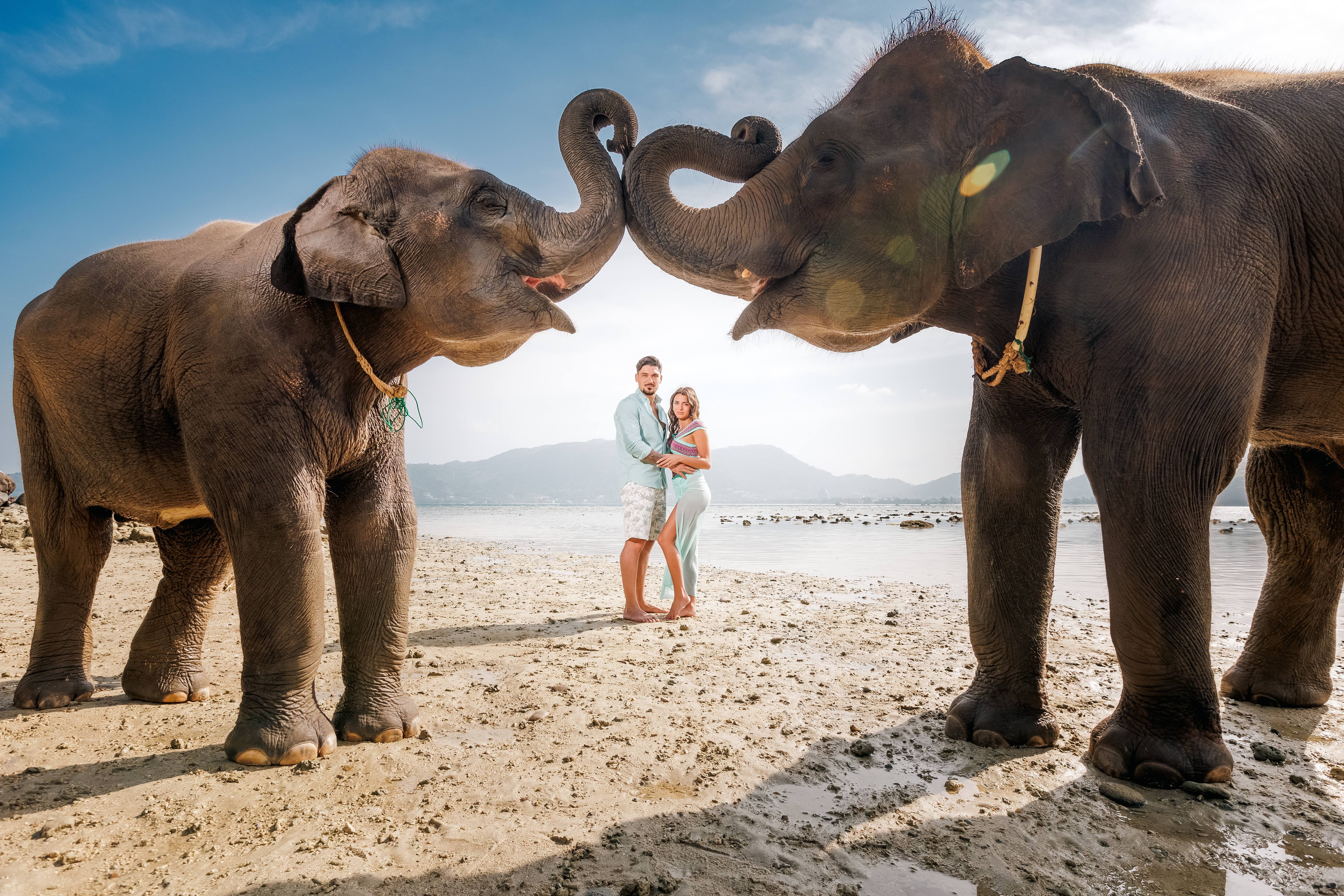 couple photoshoot with elephants at lucky beach phuket