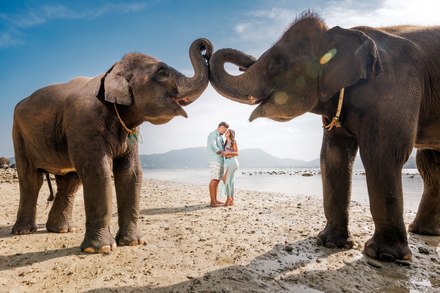 couple photoshoot with elephants at lucky beach phuket