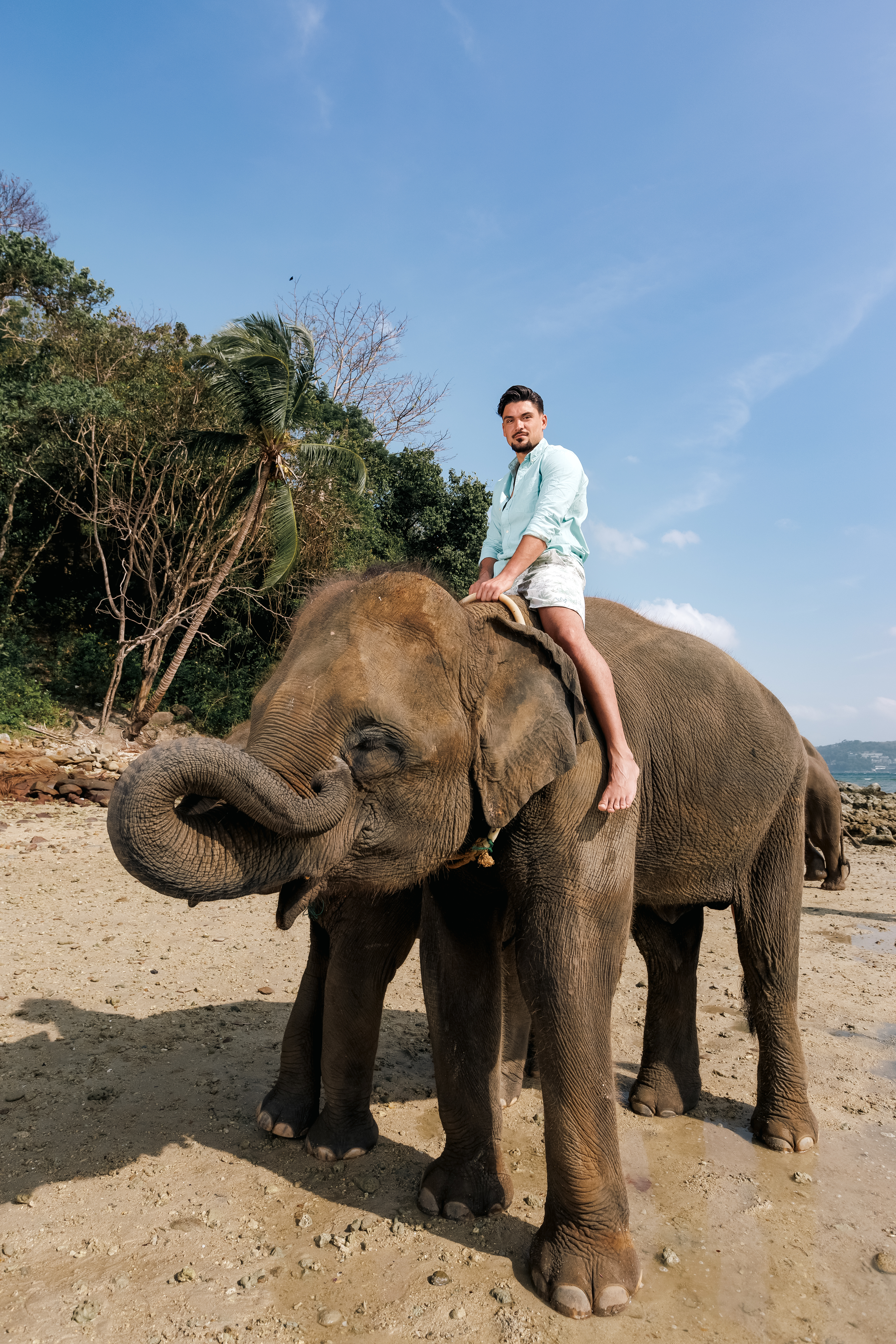 couple photoshoot with elephants at lucky beach phuket