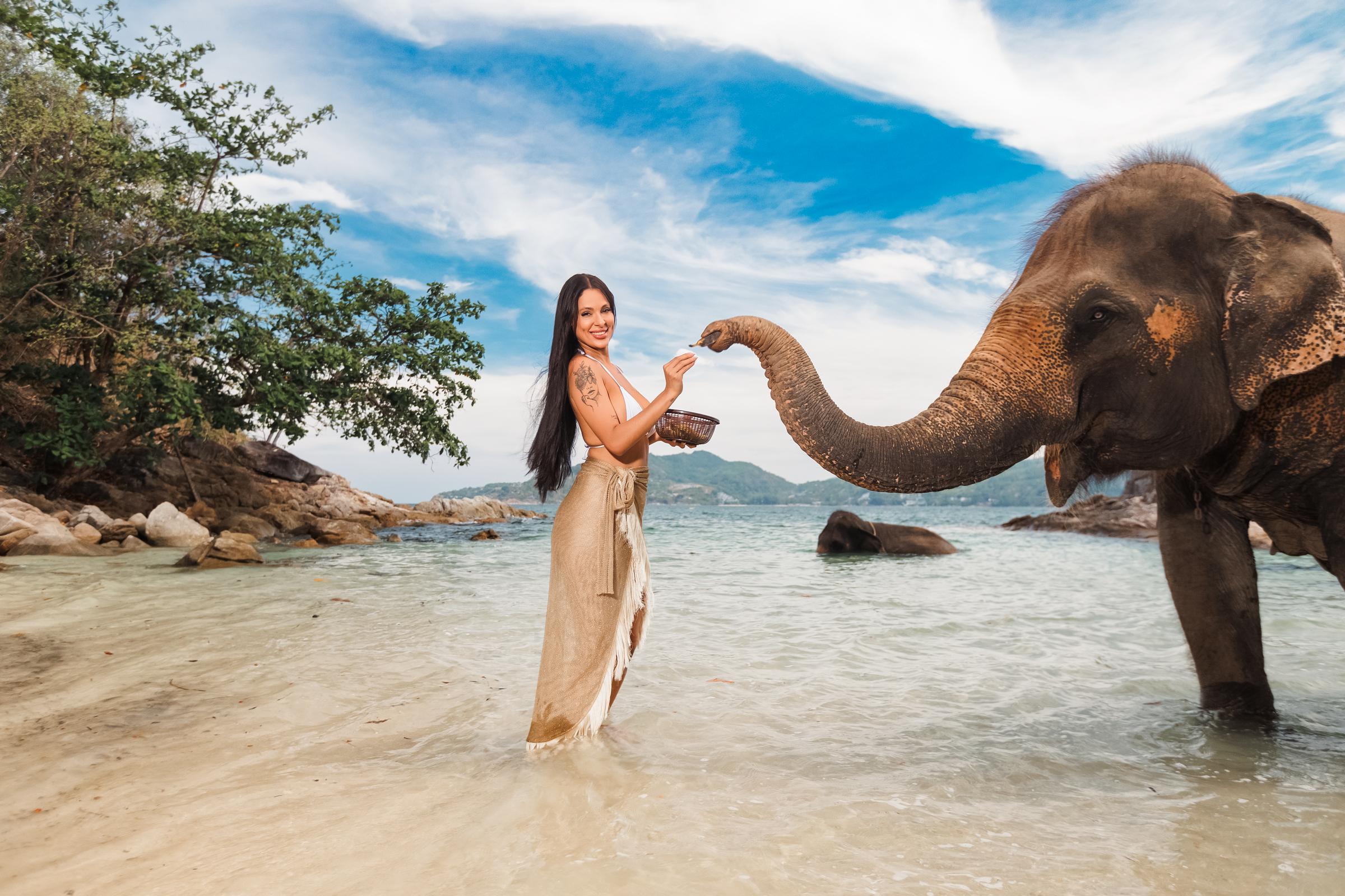 portrait photoshoot with elephant at splash beach club phuket