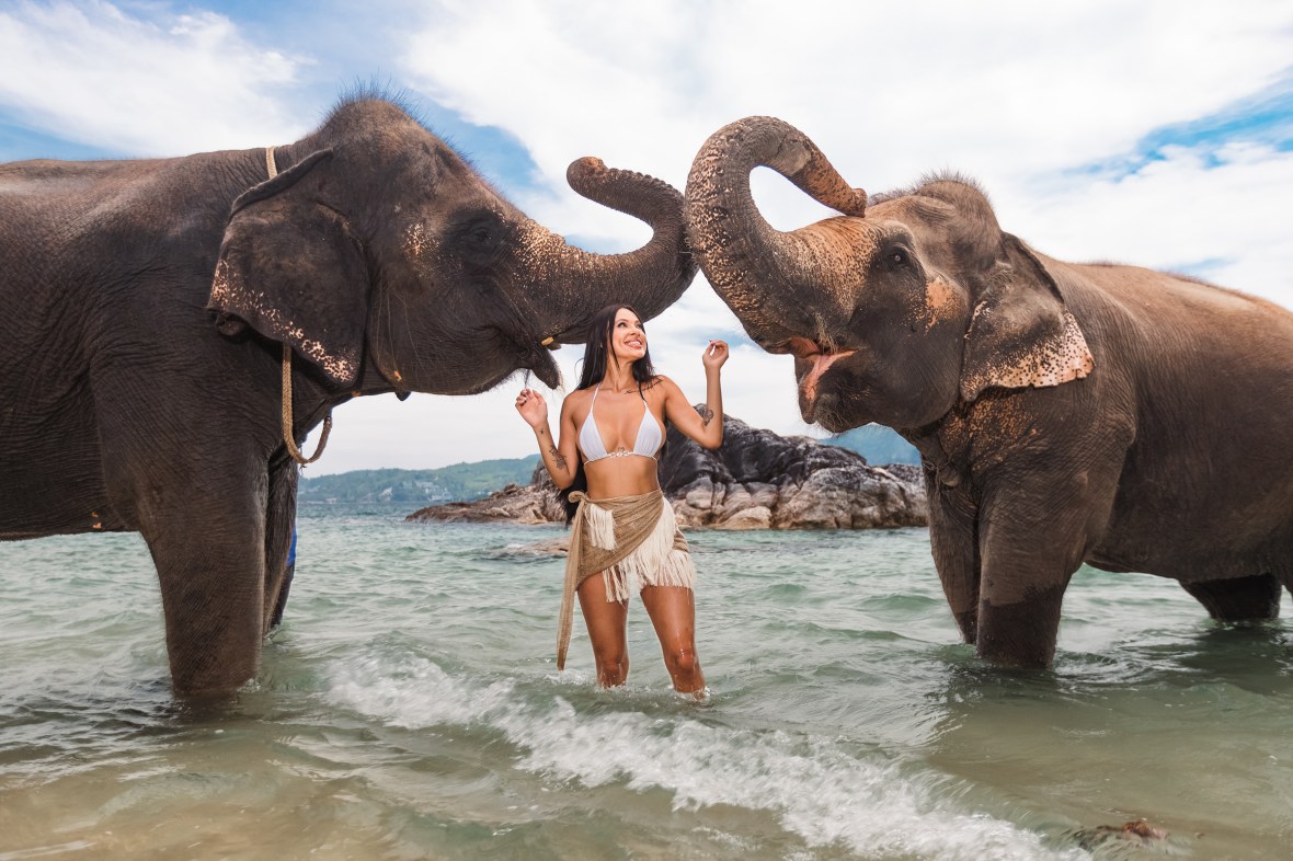 portrait photoshoot with elephant at splash beach club phuket