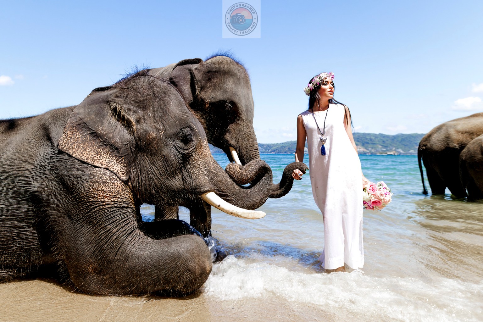 A woman in a white dress stands on the beach holding the trunk of an elephant, with another elephant nearby. The background features a clear blue sky and waves gently lapping at the shore.
