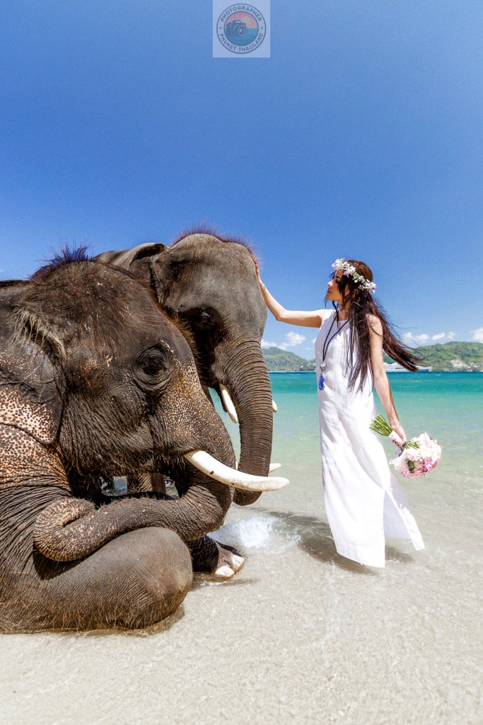 A woman in a white dress stands on a beach, gently interacting with two elephants. The scene is set against a bright blue sky and clear water, creating a vibrant and natural atmosphere.