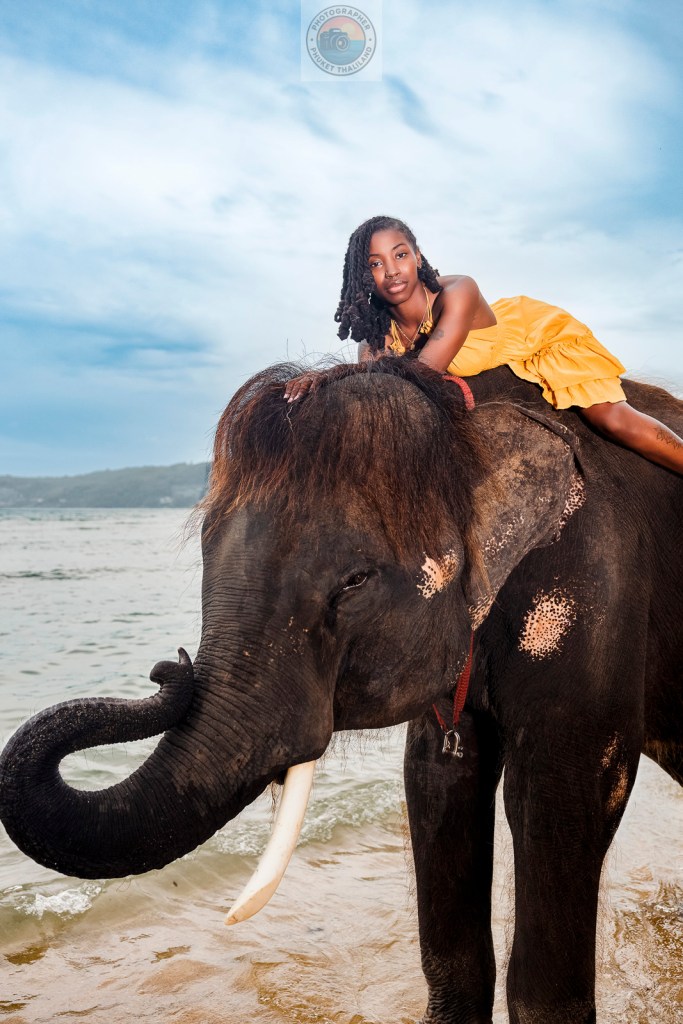 A young woman in a yellow dress is sitting on the back of an elephant by the beach, with a serene sky in the background.