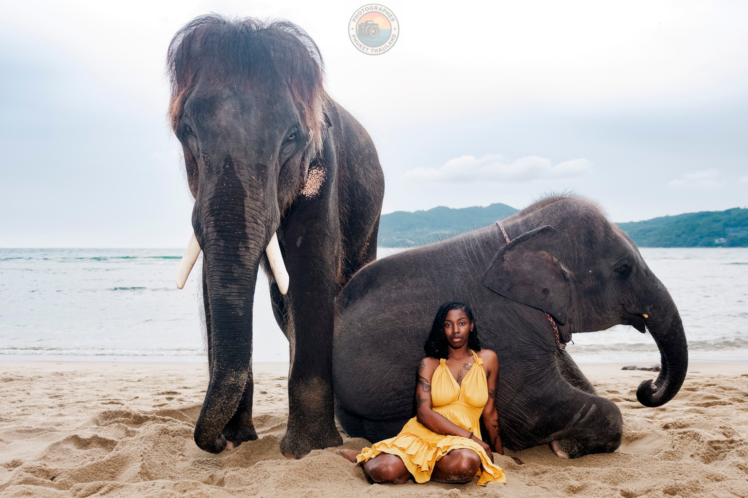 A woman in a yellow dress seated on the beach with two elephants beside her, one resting against her.
