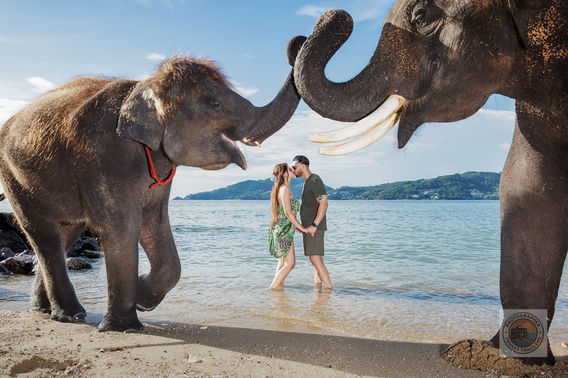 couple-elephants-photography-beach-phuket photographer