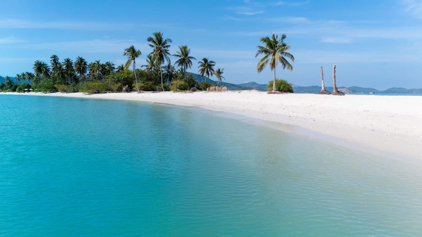 A serene beach scene featuring a turquoise ocean, white sand, and palm trees under a clear blue sky.
