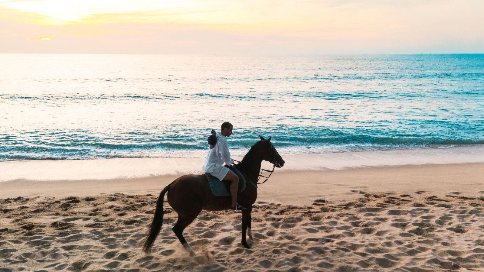 Horse photography mai Khao beach Phuket